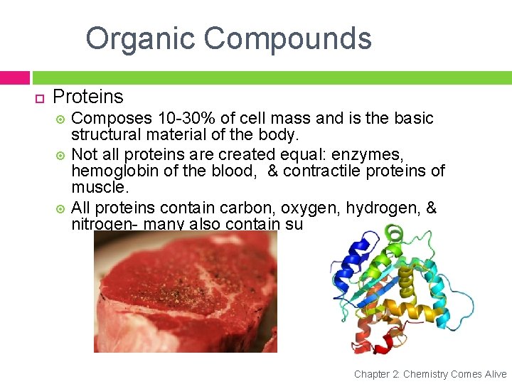 Organic Compounds Proteins Composes 10 -30% of cell mass and is the basic structural