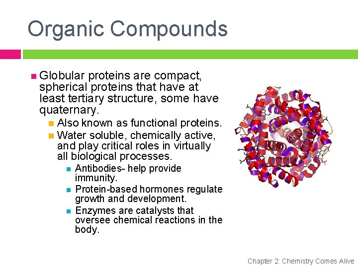 Organic Compounds Globular proteins are compact, spherical proteins that have at least tertiary structure,