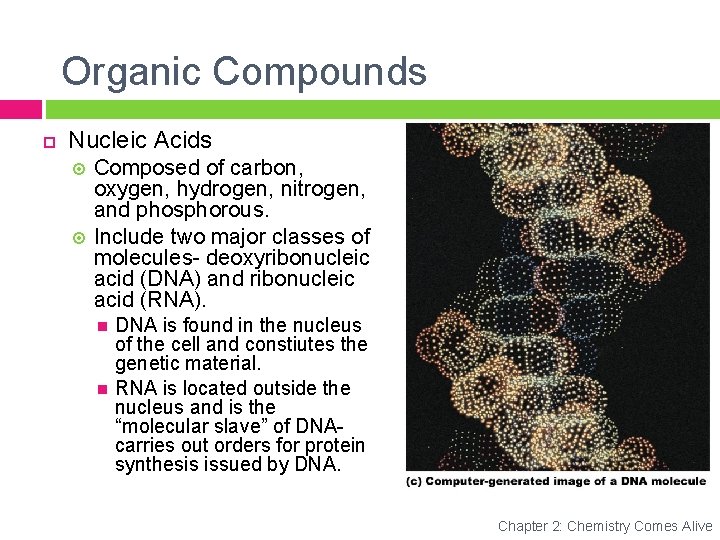 Organic Compounds Nucleic Acids Composed of carbon, oxygen, hydrogen, nitrogen, and phosphorous. Include two
