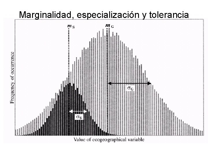Marginalidad, especialización y tolerancia 