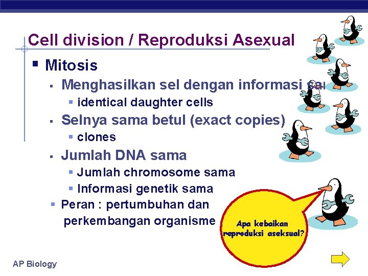 Cell division / Reproduksi Asexual § Mitosis § Menghasilkan sel dengan informasi sama §