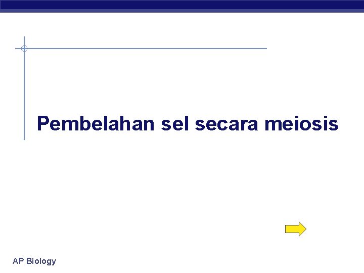 Pembelahan sel secara meiosis AP Biology 