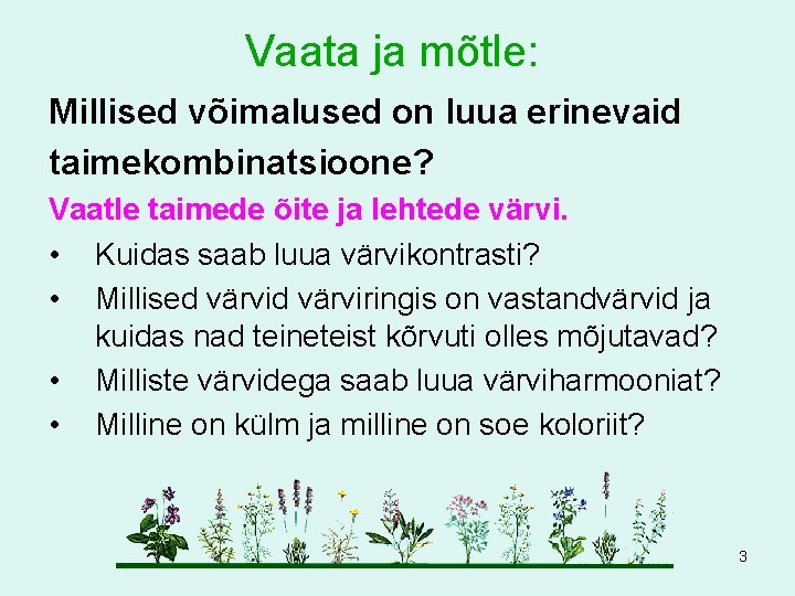 Vaata ja mõtle: Millised võimalused on luua erinevaid taimekombinatsioone? Vaatle taimede õite ja lehtede