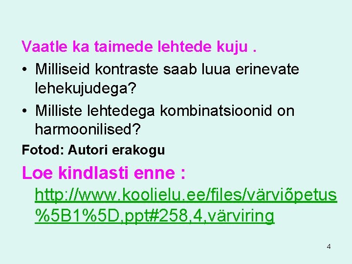 Vaatle ka taimede lehtede kuju. • Milliseid kontraste saab luua erinevate lehekujudega? • Milliste