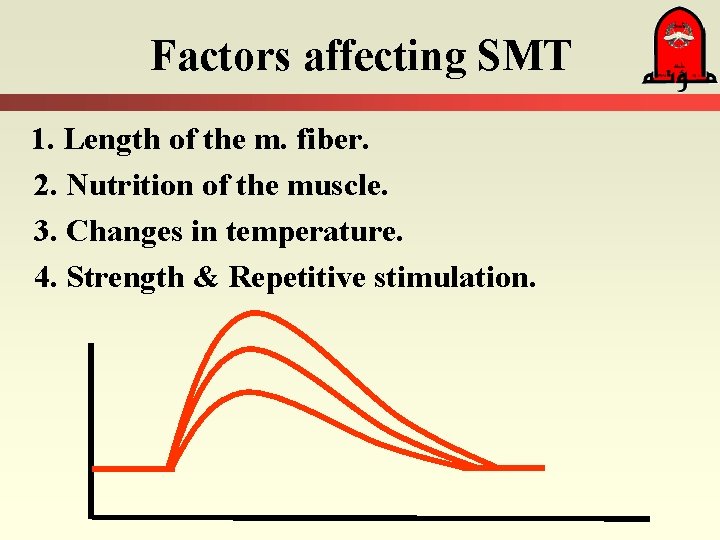 Factors affecting SMT 1. Length of the m. fiber. 2. Nutrition of the muscle.