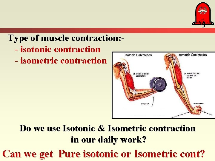 Type of muscle contraction: - isotonic contraction - isometric contraction Do we use Isotonic