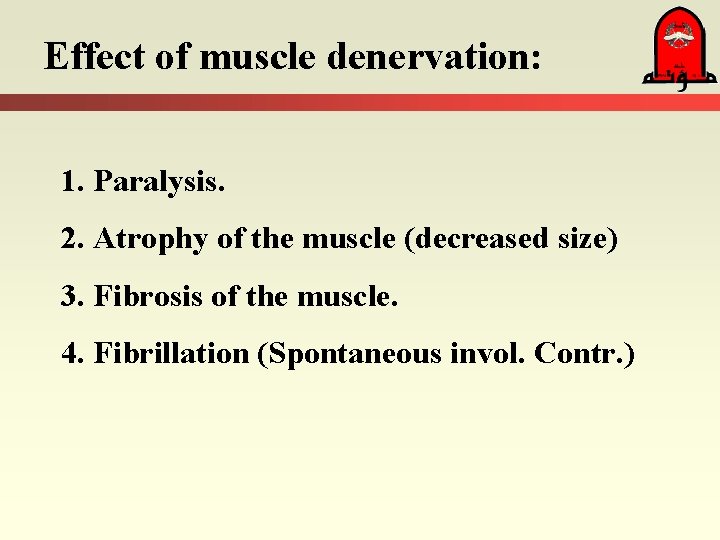 Effect of muscle denervation: 1. Paralysis. 2. Atrophy of the muscle (decreased size) 3.