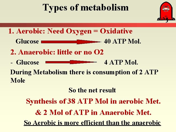 Types of metabolism 1. Aerobic: Need Oxygen = Oxidative Glucose 40 ATP Mol. 2.