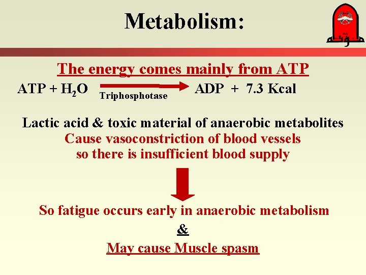 Metabolism: The energy comes mainly from ATP + H 2 O Triphosphotase ADP +