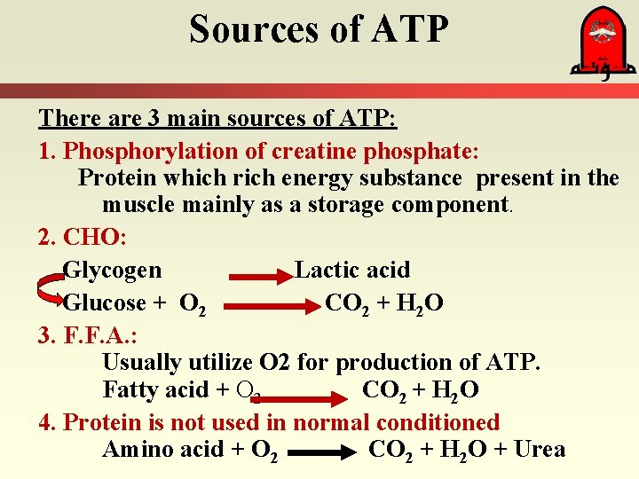 Sources of ATP There are 3 main sources of ATP: 1. Phosphorylation of creatine