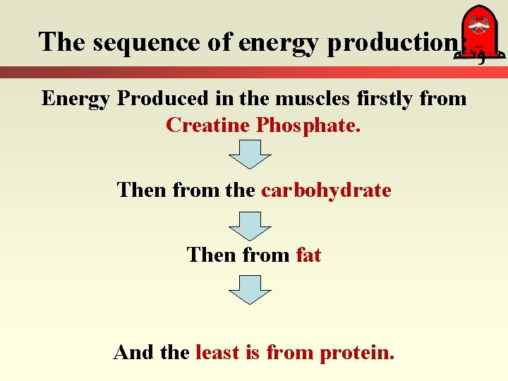 The sequence of energy production: Energy Produced in the muscles firstly from Creatine Phosphate.