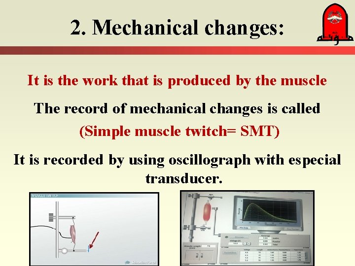 2. Mechanical changes: It is the work that is produced by the muscle The
