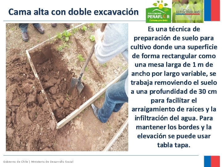 Cama alta con doble excavación Es una técnica de preparación de suelo para cultivo