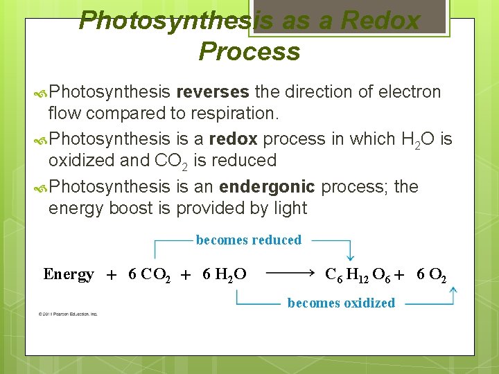 Photosynthesis as a Redox Process Photosynthesis reverses the direction of electron flow compared to