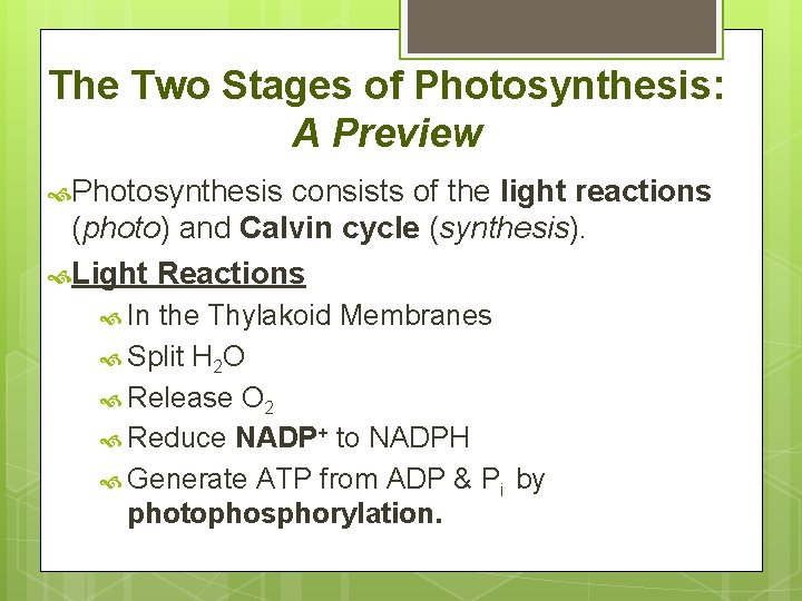 The Two Stages of Photosynthesis: A Preview Photosynthesis consists of the light reactions (photo)