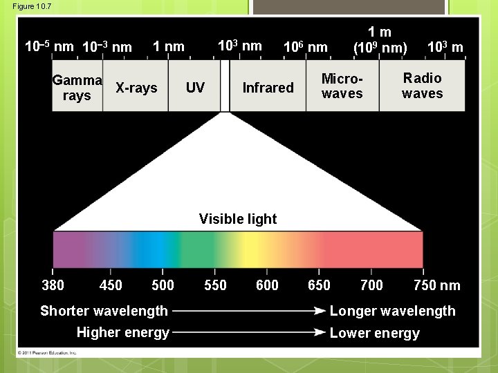 Figure 10. 7 10 5 nm 10 3 nm 103 1 nm Gamma X-rays