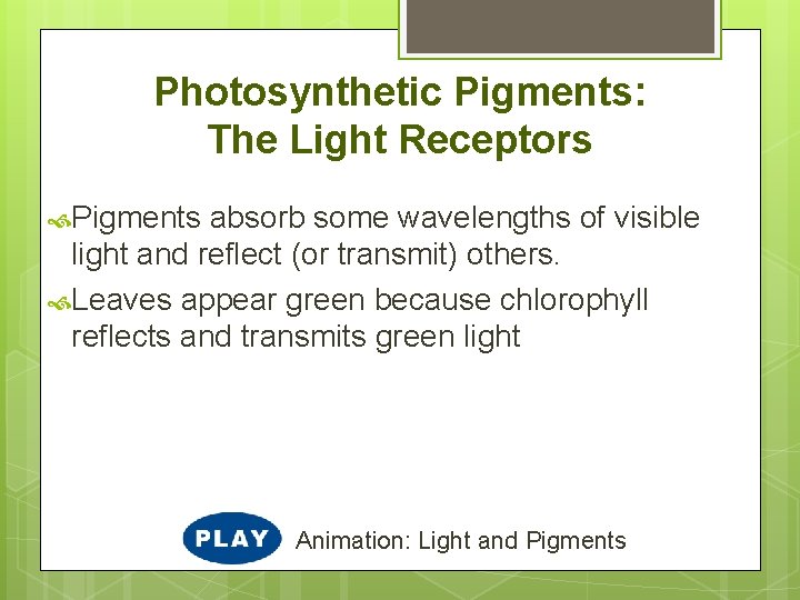 Photosynthetic Pigments: The Light Receptors Pigments absorb some wavelengths of visible light and reflect
