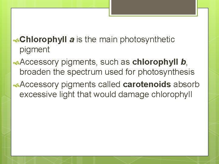  Chlorophyll a is the main photosynthetic pigment Accessory pigments, such as chlorophyll b,