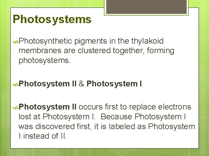 Photosystems Photosynthetic pigments in the thylakoid membranes are clustered together, forming photosystems. Photosystem II