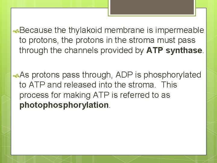  Because thylakoid membrane is impermeable to protons, the protons in the stroma must