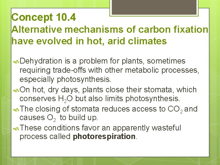 Concept 10. 4 Alternative mechanisms of carbon fixation have evolved in hot, arid climates