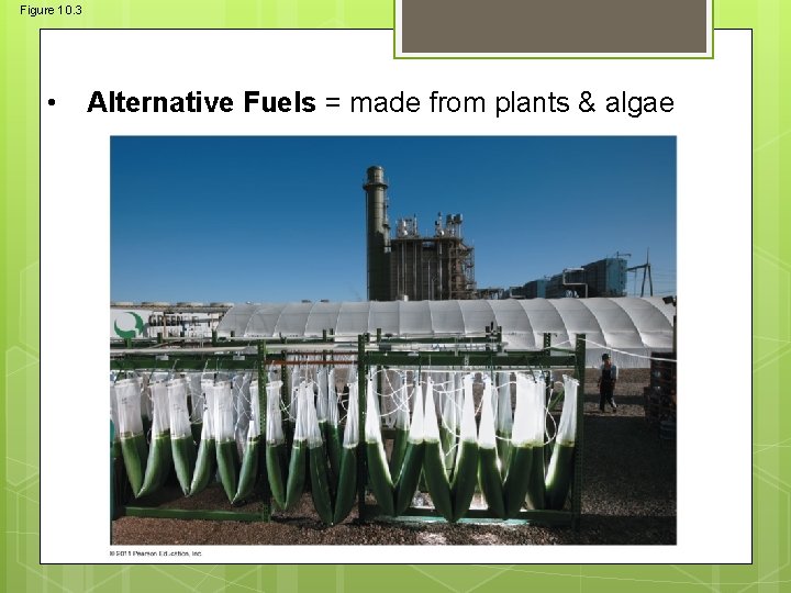 Figure 10. 3 • Alternative Fuels = made from plants & algae 