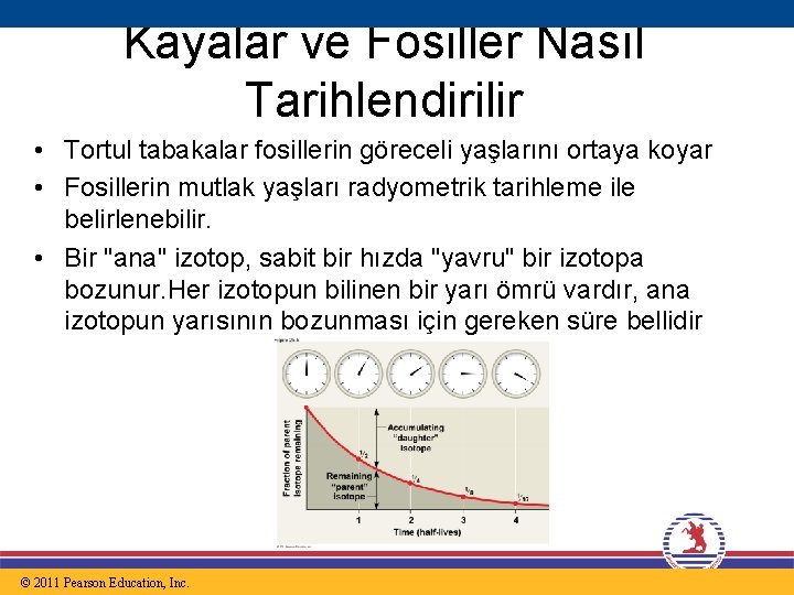 Kayalar ve Fosiller Nasıl Tarihlendirilir • Tortul tabakalar fosillerin göreceli yaşlarını ortaya koyar •