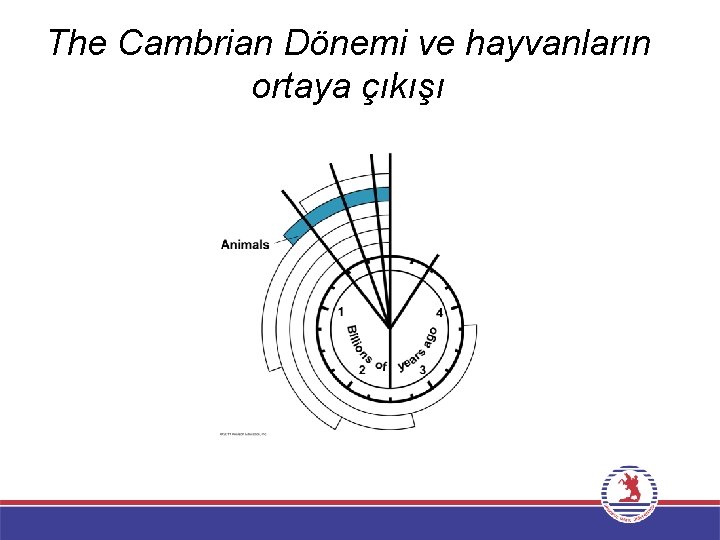 The Cambrian Dönemi ve hayvanların ortaya çıkışı 
