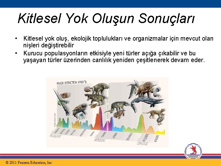 Kitlesel Yok Oluşun Sonuçları • Kitlesel yok oluş, ekolojik toplulukları ve organizmalar için mevcut