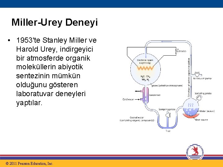 Miller-Urey Deneyi • 1953'te Stanley Miller ve Harold Urey, indirgeyici bir atmosferde organik moleküllerin