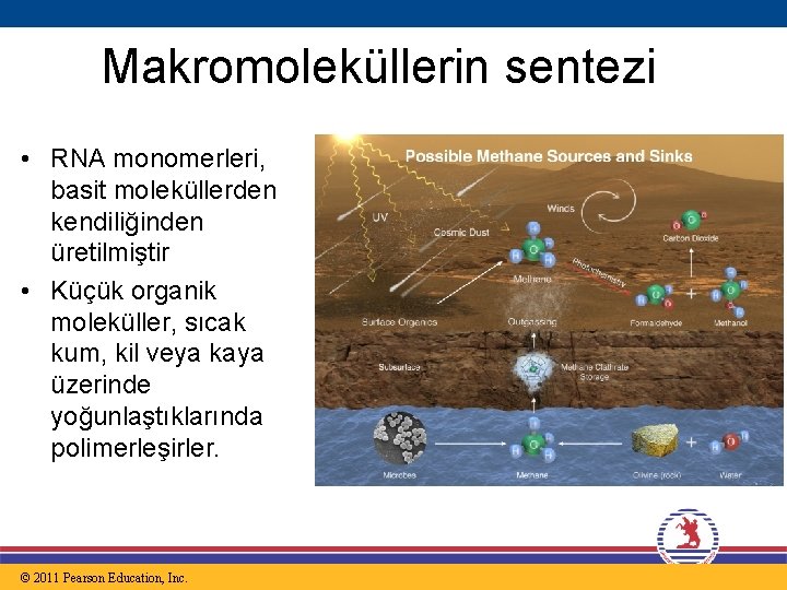 Makromoleküllerin sentezi • RNA monomerleri, basit moleküllerden kendiliğinden üretilmiştir • Küçük organik moleküller, sıcak