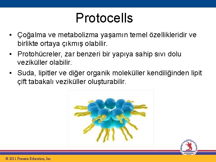 Protocells • Çoğalma ve metabolizma yaşamın temel özellikleridir ve birlikte ortaya çıkmış olabilir. •