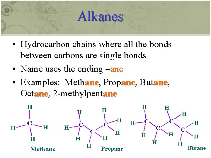 Alkanes • Hydrocarbon chains where all the bonds between carbons are single bonds •