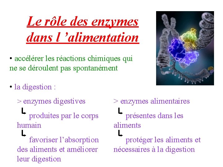 Le rôle des enzymes dans l ’alimentation • accélérer les réactions chimiques qui ne