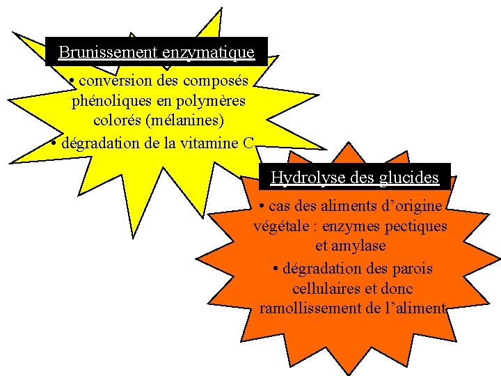Brunissement enzymatique • conversion des composés phénoliques en polymères colorés (mélanines) • dégradation de