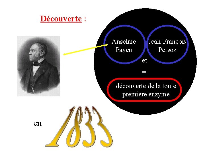 Découverte : Anselme Payen Jean-François Persoz et = découverte de la toute première enzyme