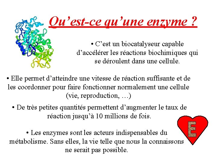 Qu’est-ce qu’une enzyme ? • C’est un biocatalyseur capable d’accélérer les réactions biochimiques qui