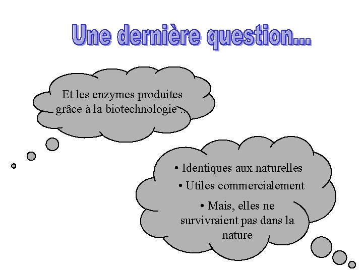 Et les enzymes produites grâce à la biotechnologie. . . • Identiques aux naturelles