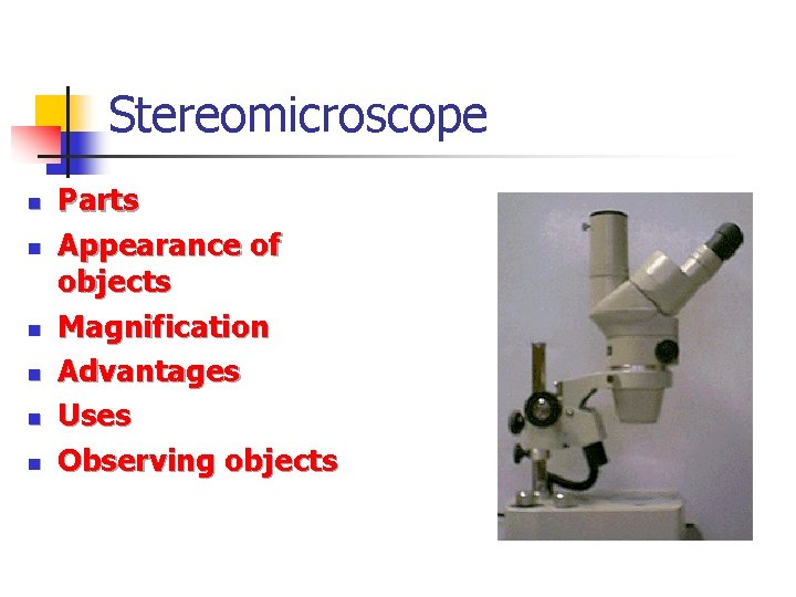 Stereomicroscope n n n Parts Appearance of objects Magnification Advantages Uses Observing objects 