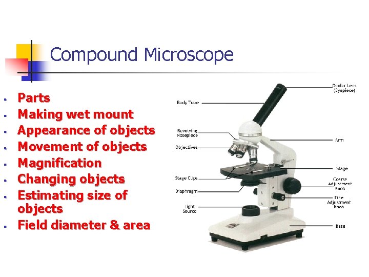 Compound Microscope § § § § Parts Making wet mount Appearance of objects Movement