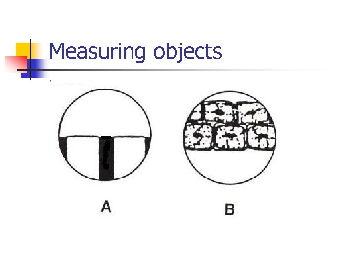 Measuring objects 
