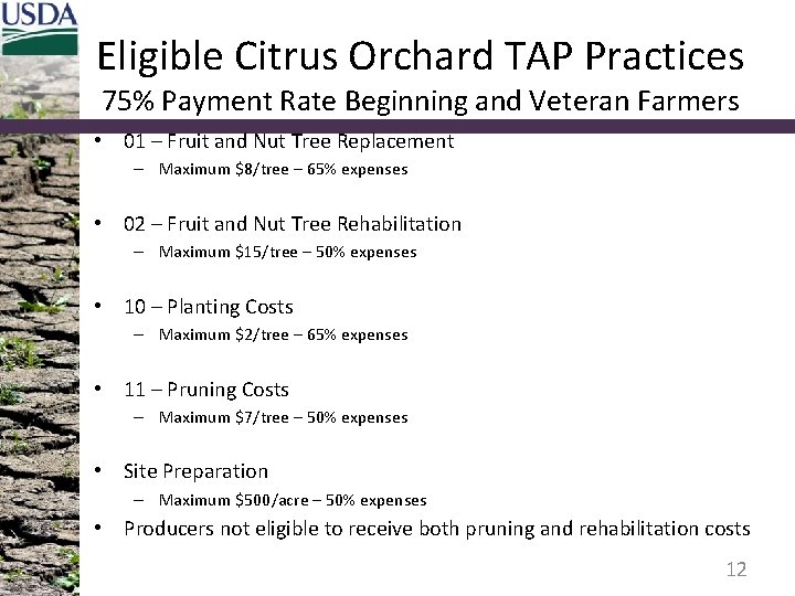 Eligible Citrus Orchard TAP Practices 75% Payment Rate Beginning and Veteran Farmers • 01