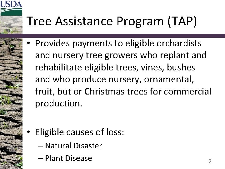 Tree Assistance Program (TAP) • Provides payments to eligible orchardists and nursery tree growers