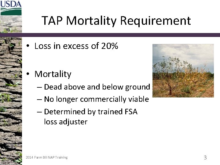 TAP Mortality Requirement • Loss in excess of 20% • Mortality – Dead above