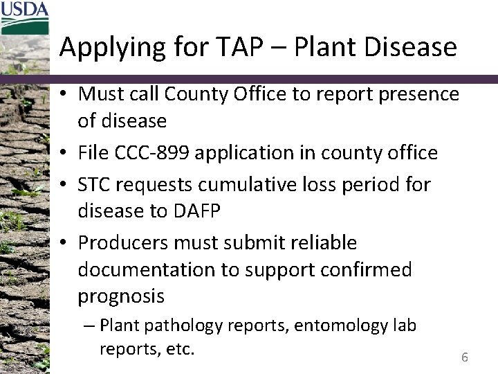 Applying for TAP – Plant Disease • Must call County Office to report presence