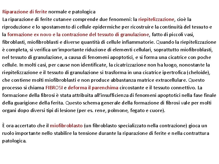 Riparazione di ferite normale e patologica La riparazione di ferite cutanee comprende due fenomeni: