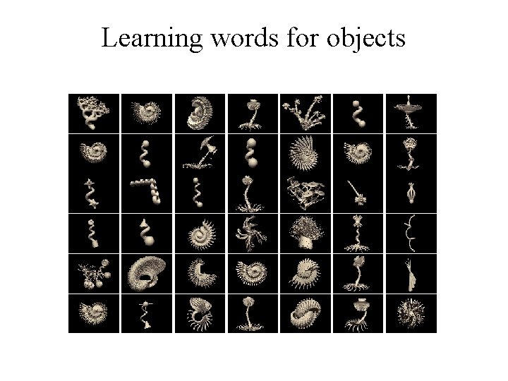 Learning words for objects 