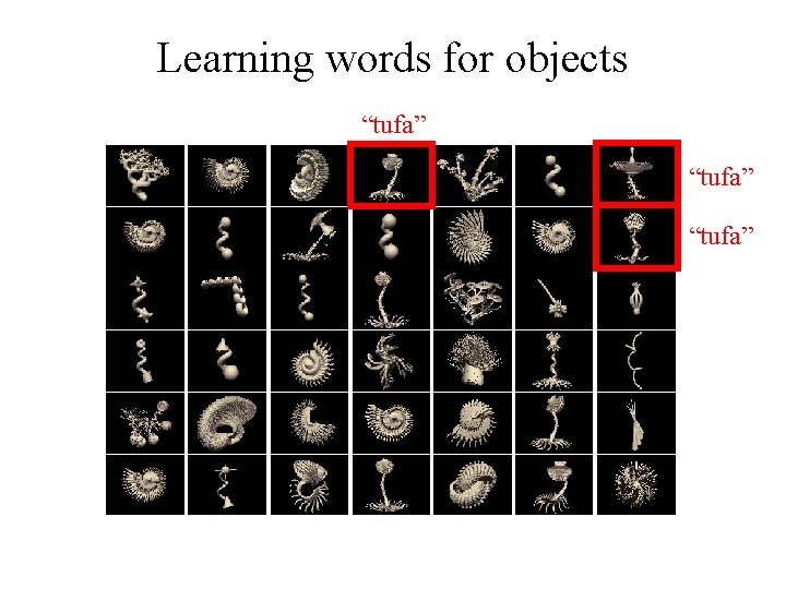 Learning words for objects “tufa” 