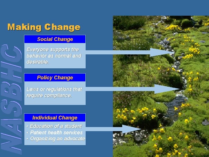Making Change Social Change Everyone supports the behavior as normal and desirable. Policy Change