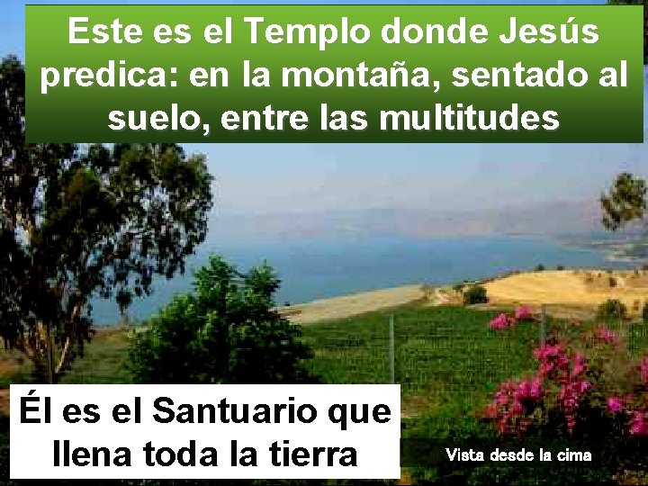Este es el Templo donde Jesús predica: en la montaña, sentado al suelo, entre